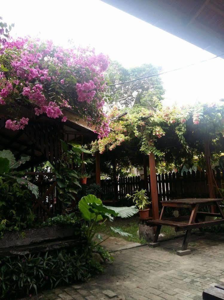 Ombak Inn Chalet Kampung Teluk Nipah Exterior photo